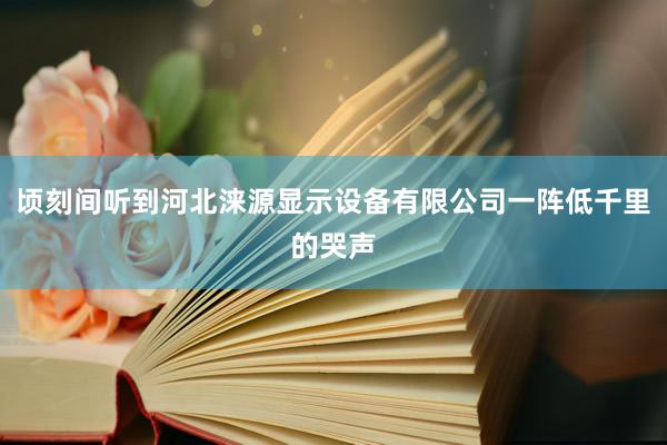 顷刻间听到河北涞源显示设备有限公司一阵低千里的哭声